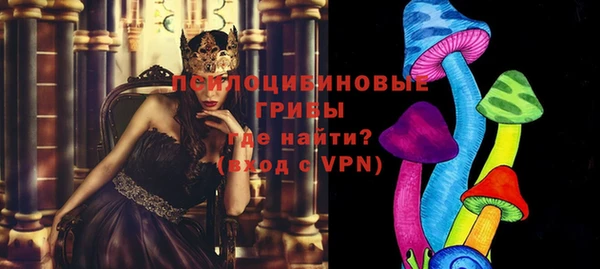 мдпв Абинск