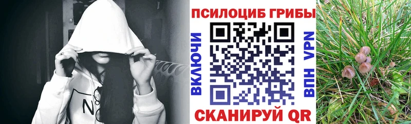 закладка  маркетплейс клад  Псилоцибиновые грибы прущие грибы  Рыльск 